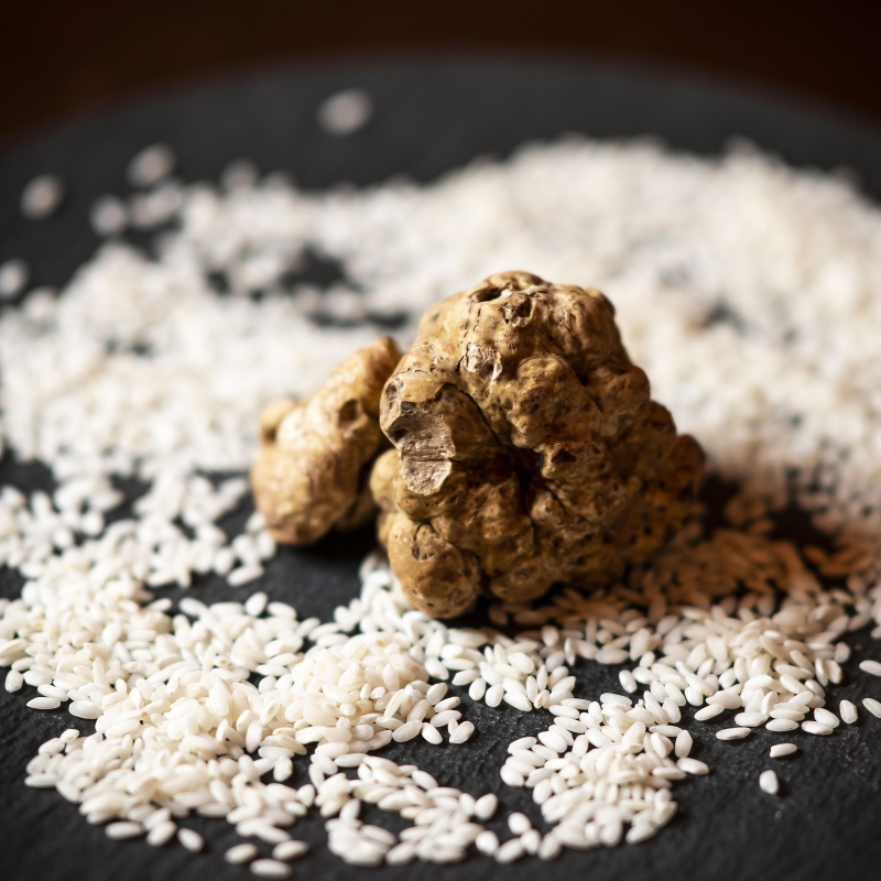 Tartufo bianco d'Alba - VisitPiemonte, Giorgio Perottino - 2019 Getty Images