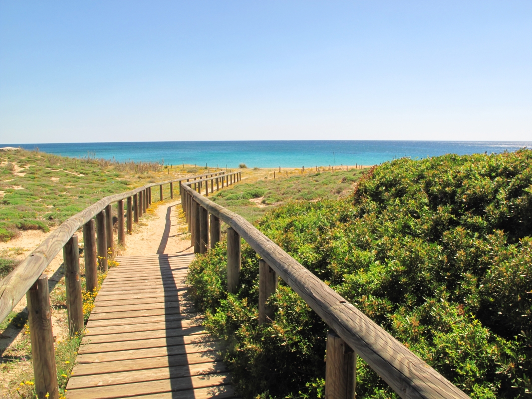 Dune di Campomarino - Peppe Allegretta