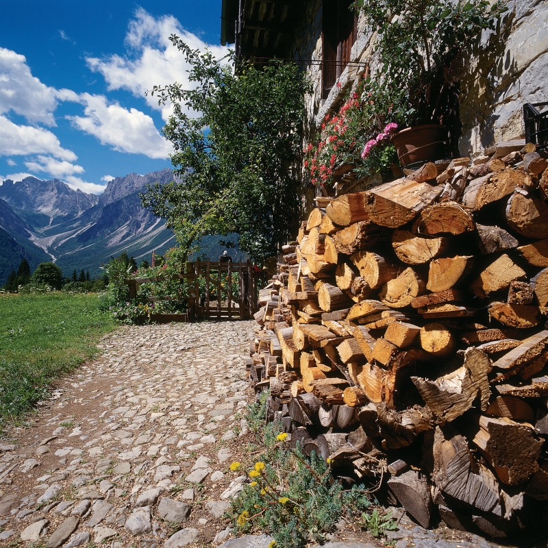 Forni di Sopra - Ulderica Da Pozzo