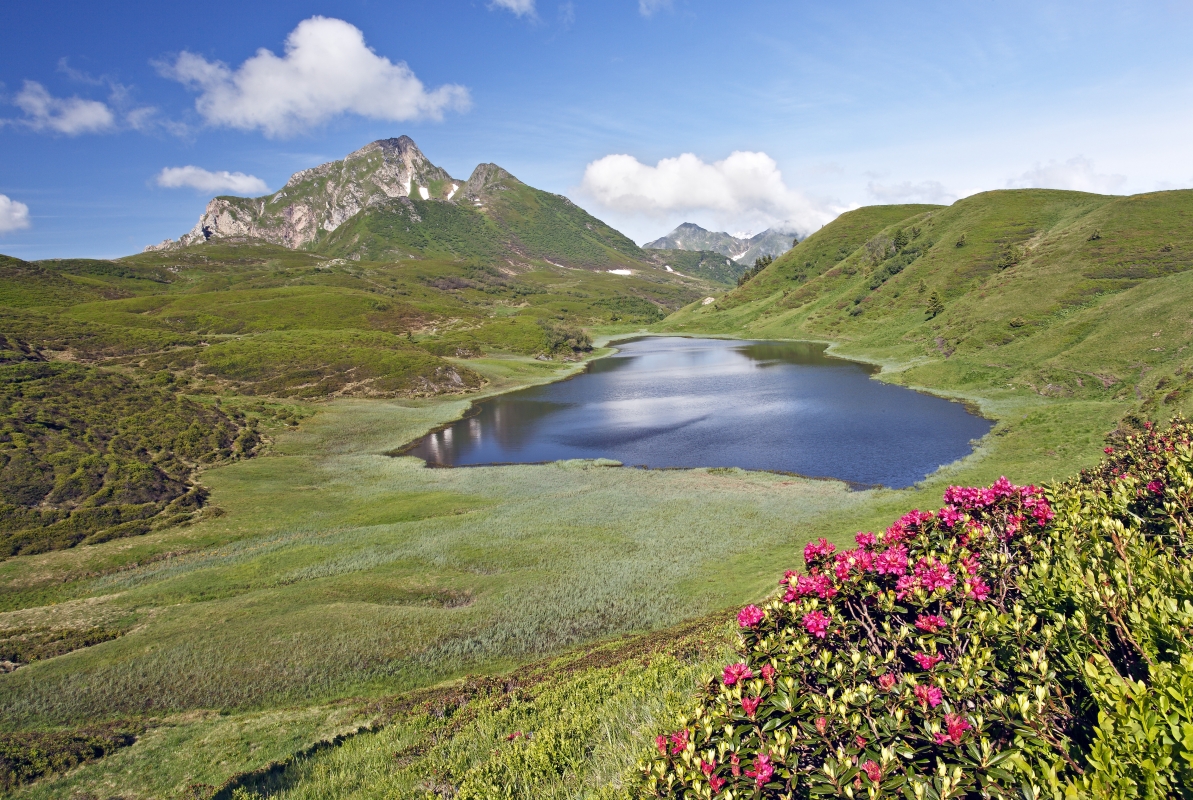 Monte Cuestalta - Luciano Gaudenzio