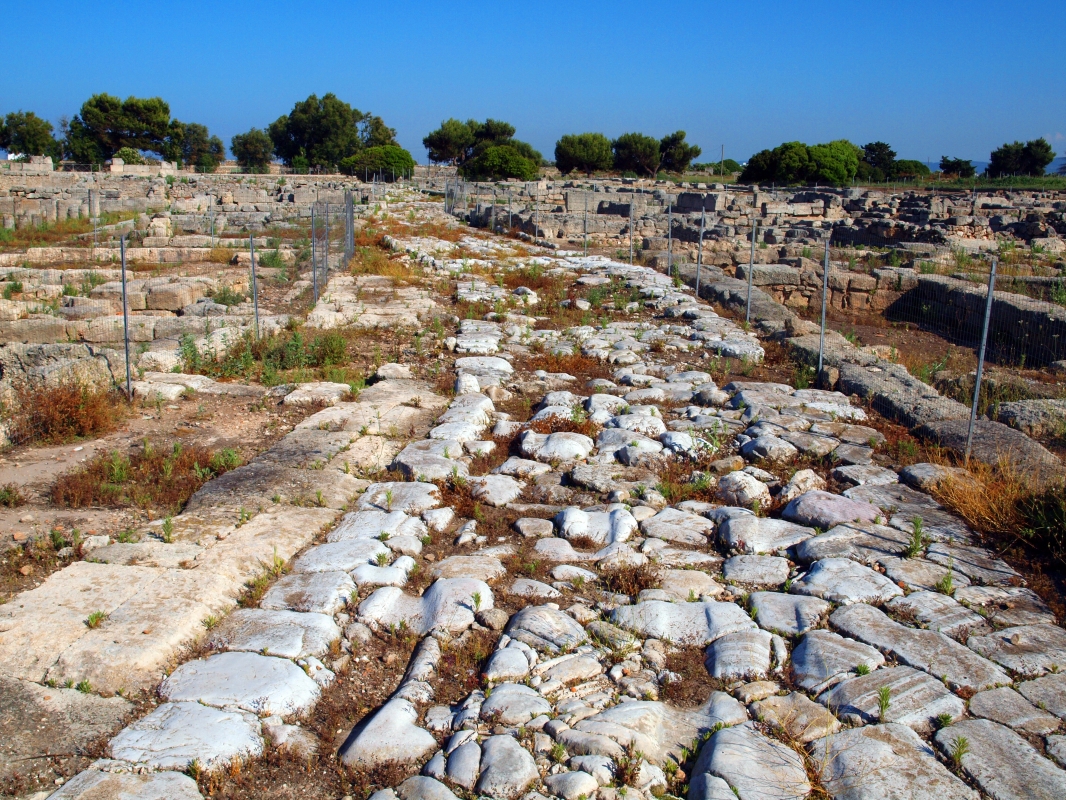 Strada romana - Parco archeologico di Egnazia - Nunzio Pacella