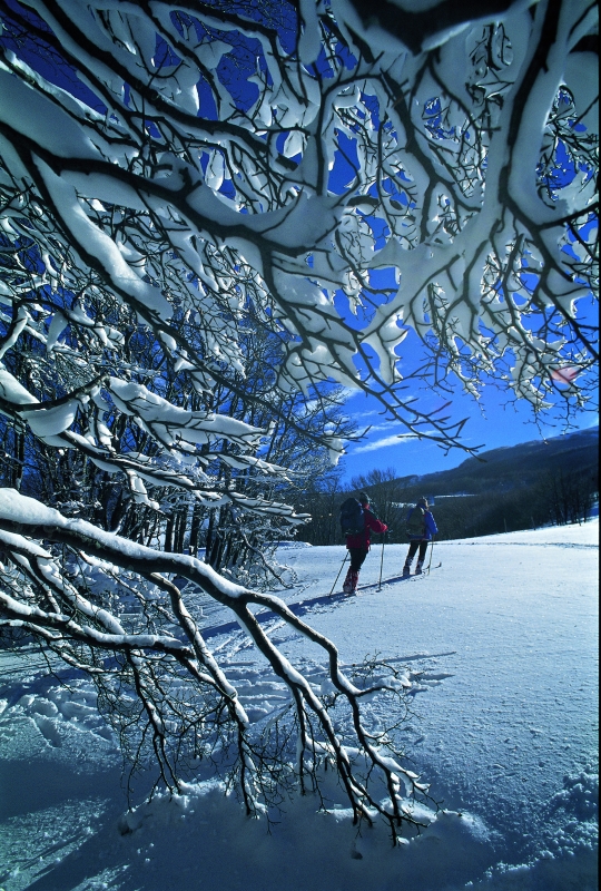 Cross country skiing - Regione Abruzzo