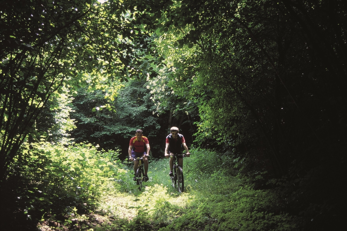 Mountain bike - Abruzzo Turismo