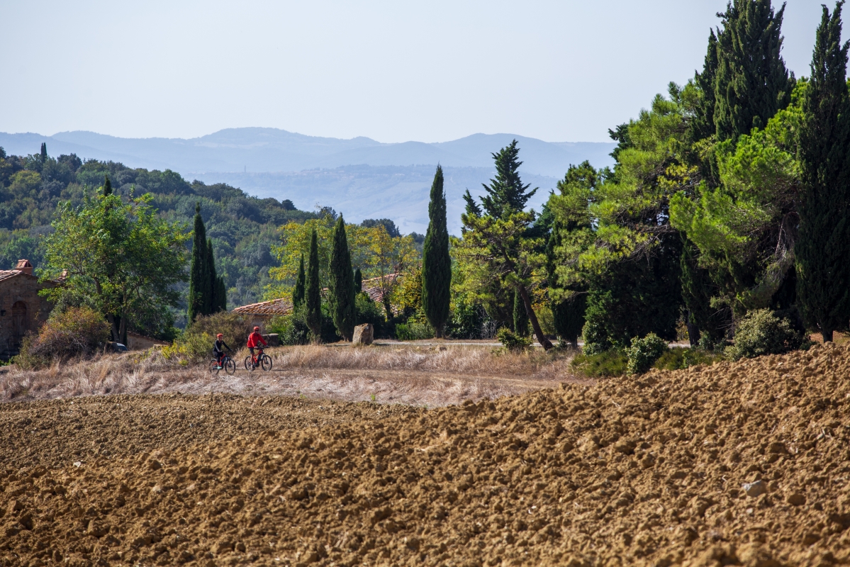 Escursione in bicicletta tra Volterra e San Gimignano - Nicola Santini