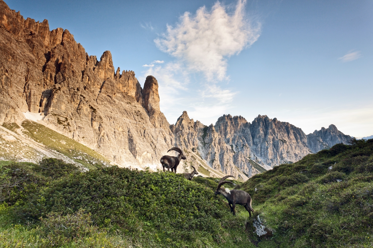 Val di Suola - Luciano Gaudenzio