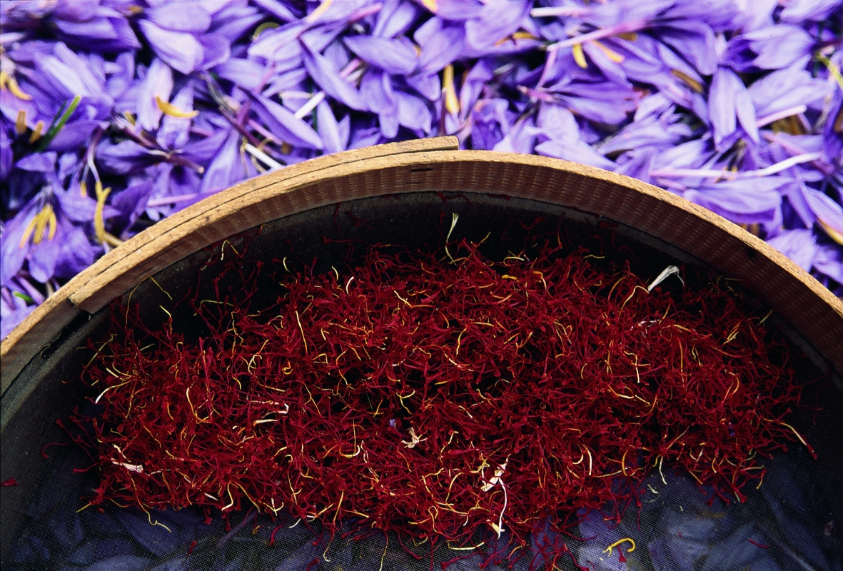 Zafferano dell'Aquila DOP - Abruzzo Turismo