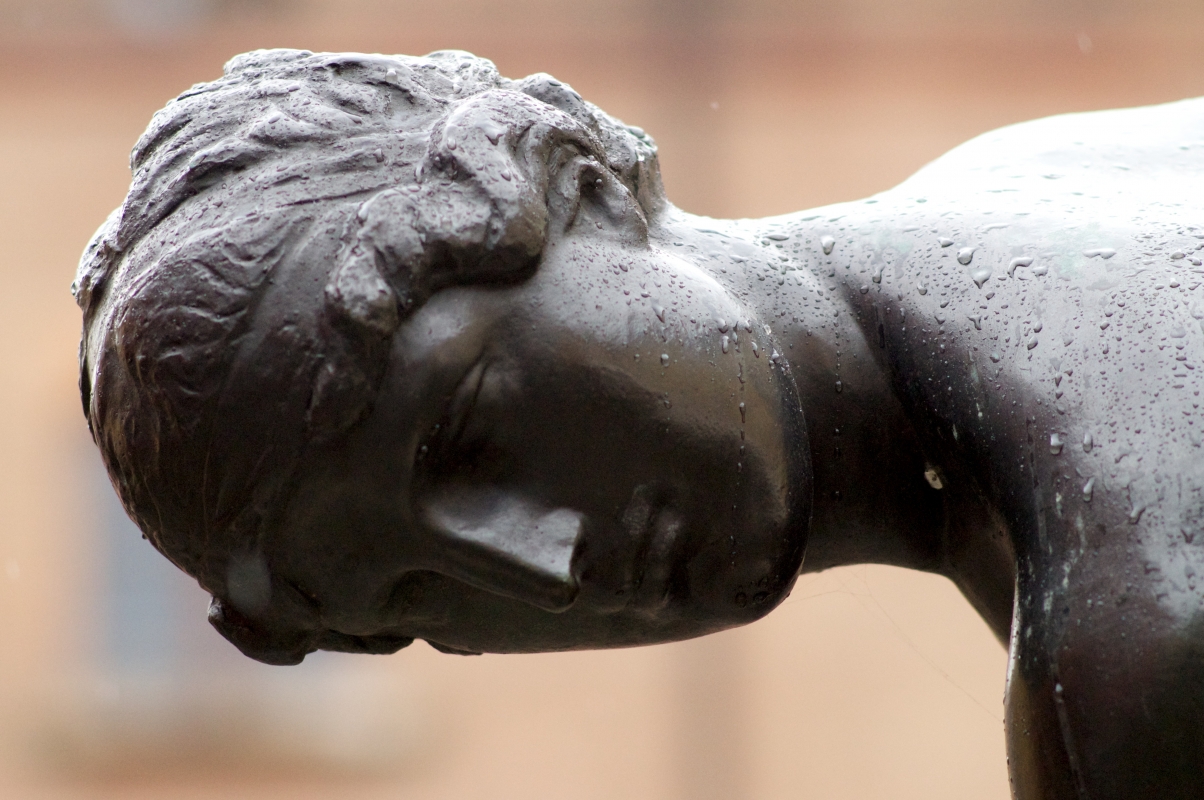 Fontana della ninfa (dettaglio della testa) - Massimiliano Marsiglietti