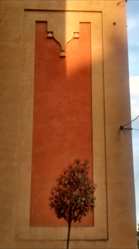 Particolare della facciata, al tramonto - Clarkfor