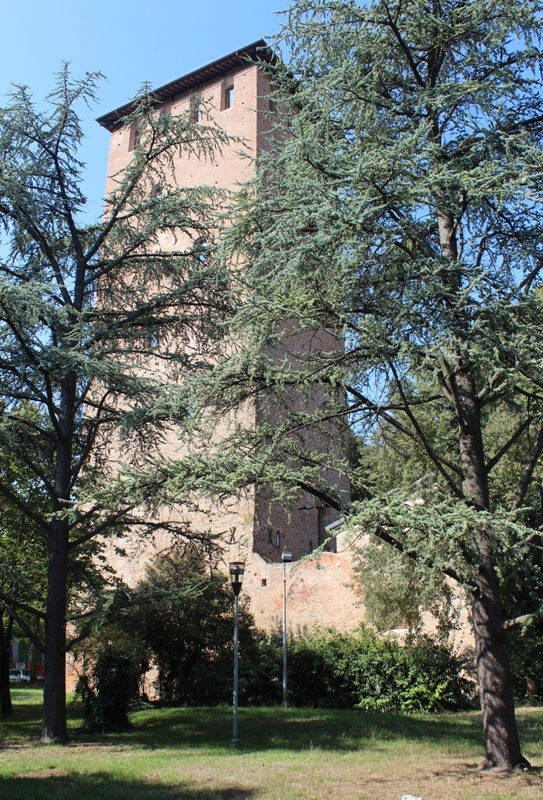 Torre Bolognesi 3 - Alberto Marchetti