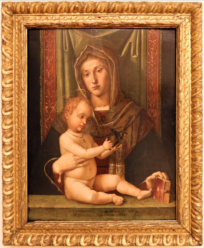 Bartolomeo montagna, madonna col bambino, 1503 - Sailko