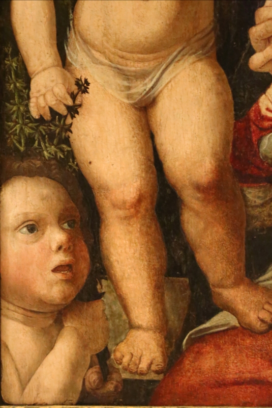 Giovan francesco caroto, madonna col bambino e san giovannino, 1501, 02 - Sailko