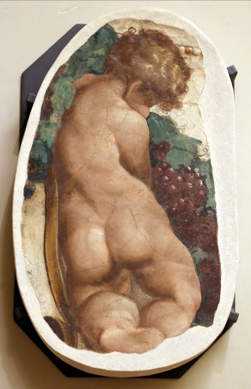 Leolio orsi, frammenti di affreschi dalla rocca di novellara, 1555-56 ca., 01 putto - Sailko