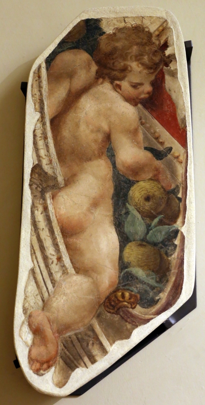 Leolio orsi, frammenti di affreschi dalla rocca di novellara, 1555-56 ca., 02 putto - Sailko