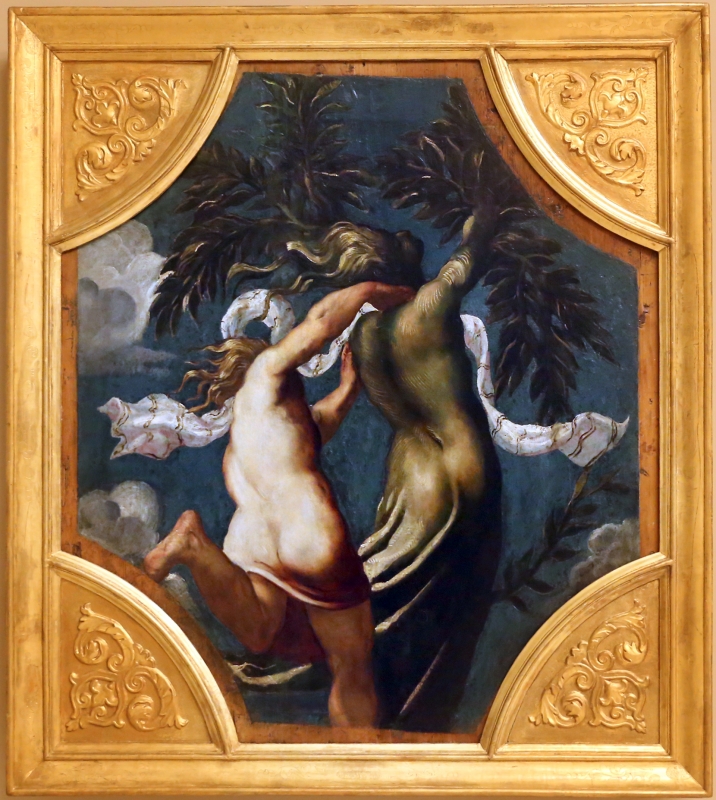 Tintoretto, tavole per un soffitto a palazzo pisani in san paterniano a venezia, 1541-42, apollo e dafne - Sailko