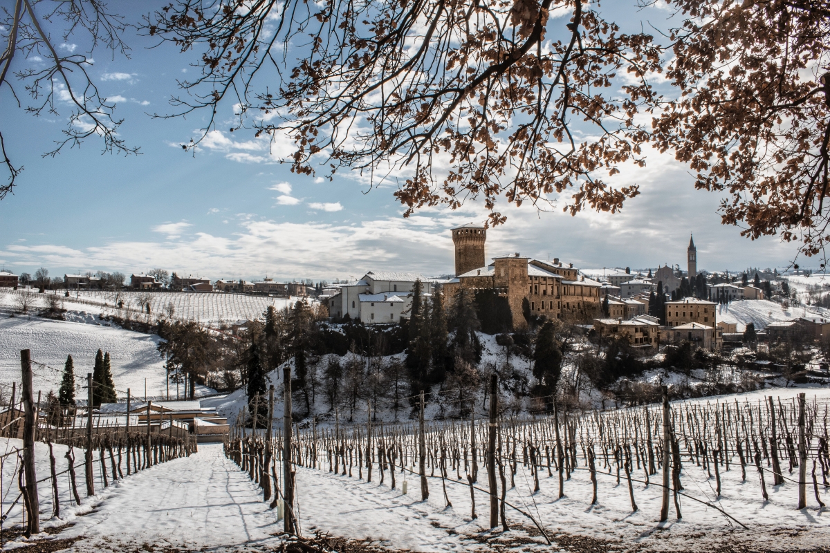 L'inverno fra i filari al Castello di Levizzano - Luca Nacchio