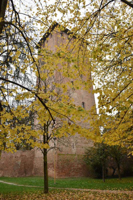 Torre dei Bolognesi - Nonantola - Mauroriccio