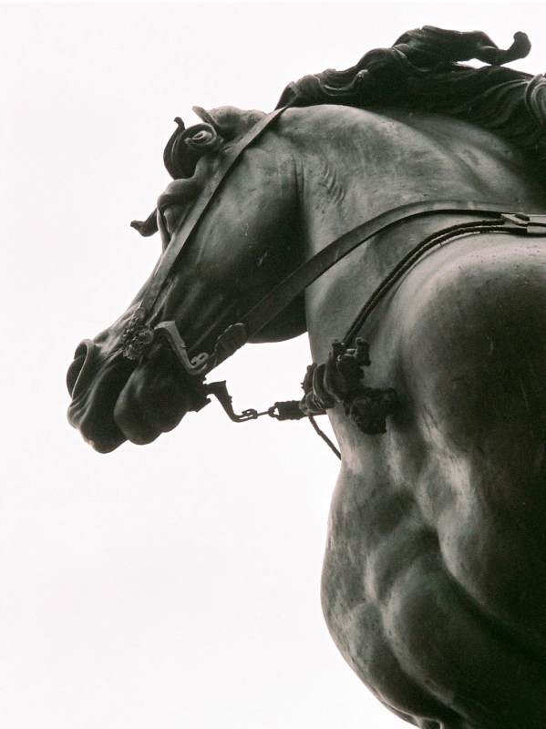 Cavallo areale - Ugo Locatelli