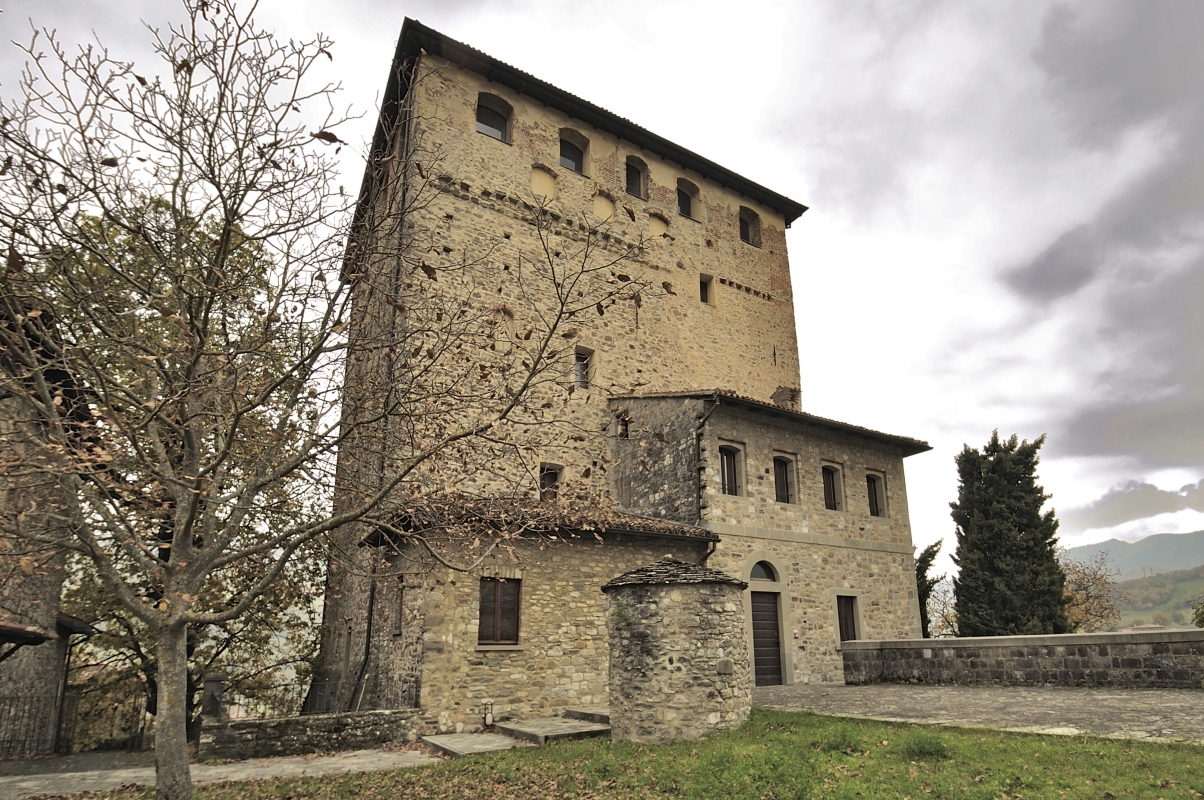 Castello Dal Verme - Carlo grifone