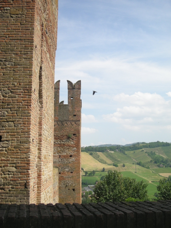 Torri della rocca Viscontea e scorcio di Castell' Arquato - Antonella Mereu
