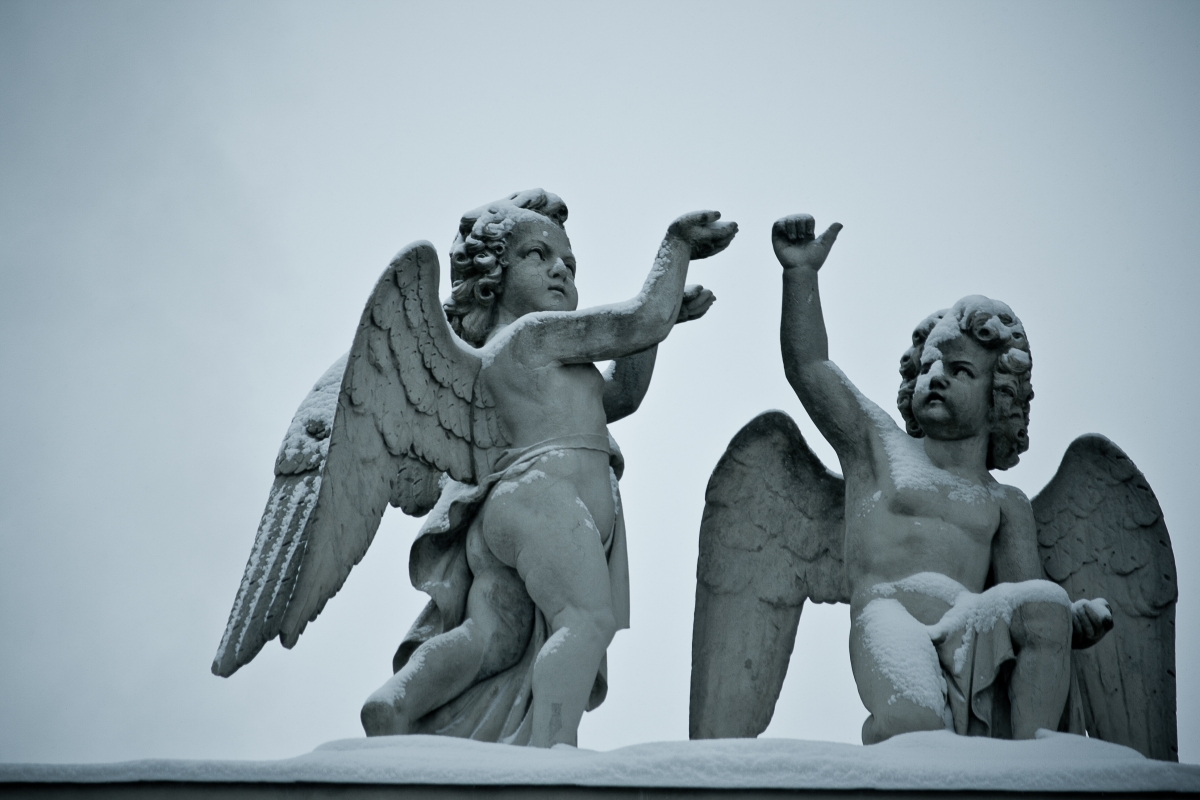 Angeli della Cattedrale - Saraferrara