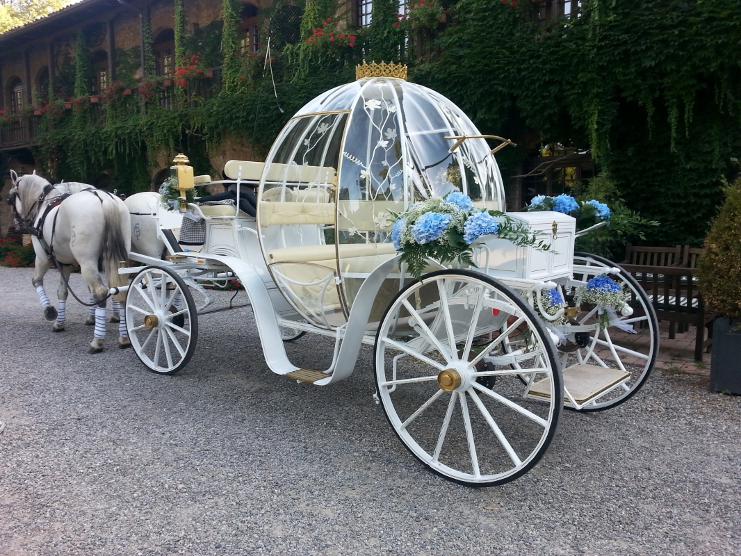 Wedding in Rivalta Castle - Giulia Pilotta