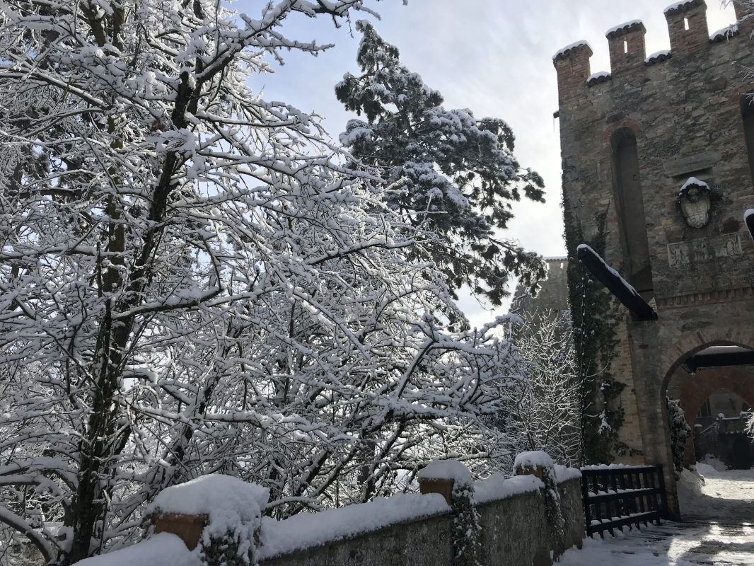 Castello di Gropparello  dopo una nevicata - Rita Trecci Gibelli