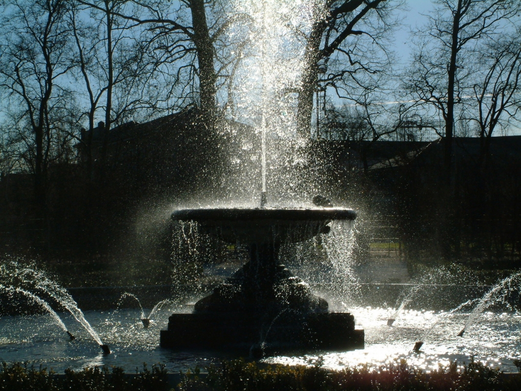 Fontana del parco - Albertobru