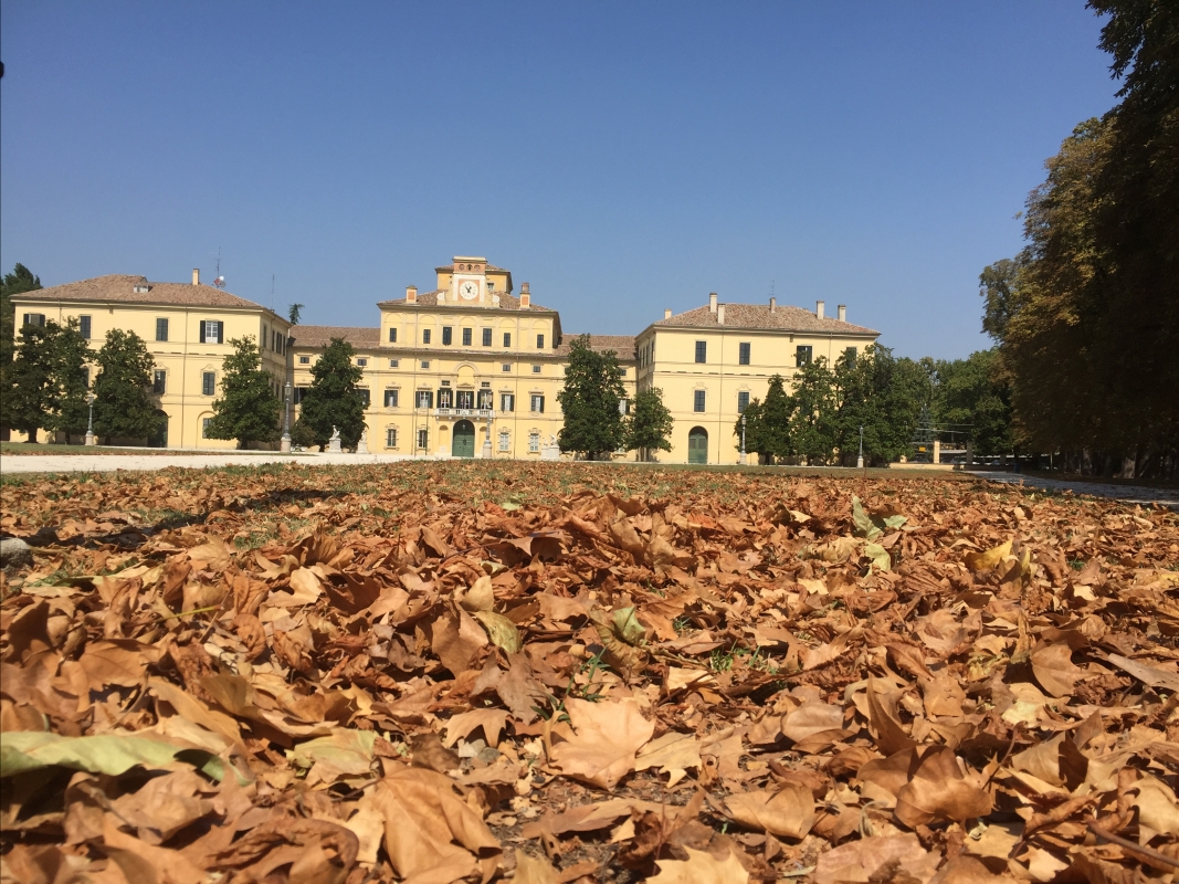 Palazzo Ducale di Parma con le foglie - Simo129