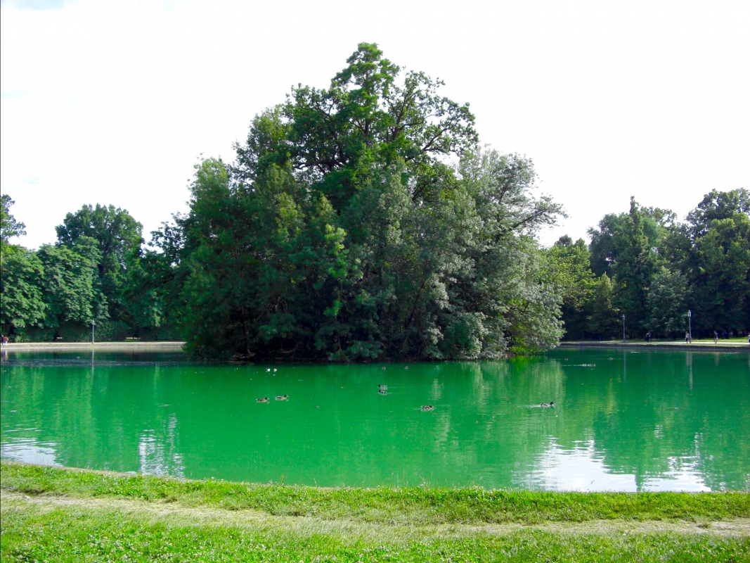 Parco Ducale verde su verde - Clawsb