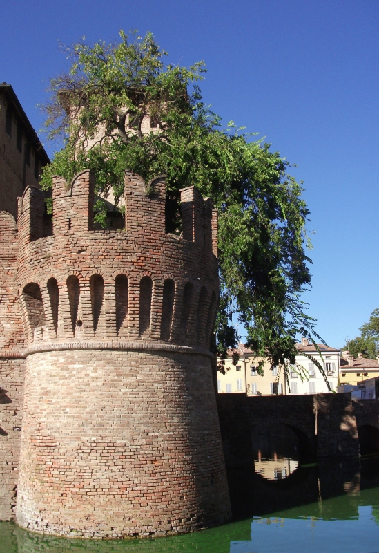 Rocca Sanvitale - Torre e fossato - Micronautilus