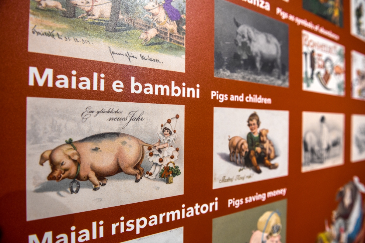 Museo del Culatello e del Masalén - collezione di cartoline - Luca Rossi