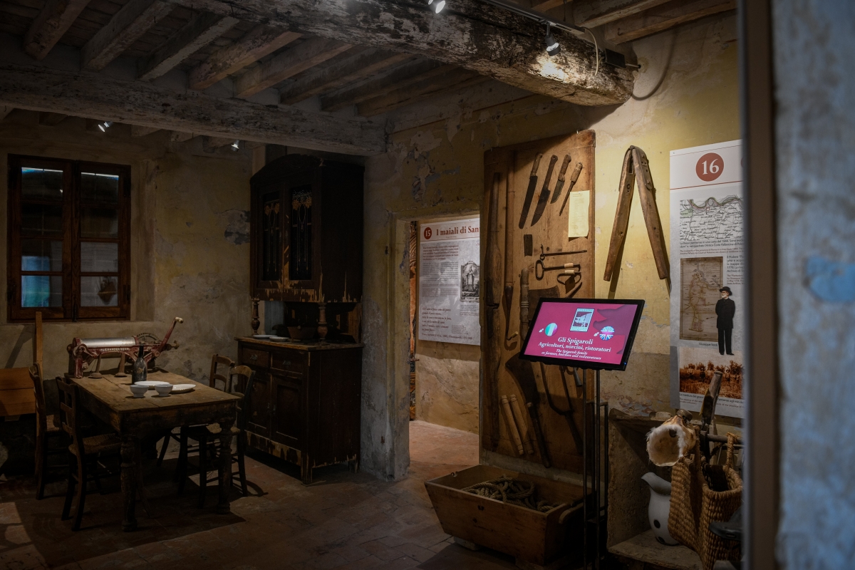 Museo del Culatello e del  - Masalén - Peasant Spigaroli - Luca Rossi