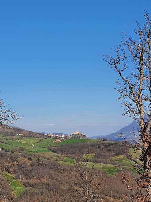 Panorama azzurro - Manuela Strinati