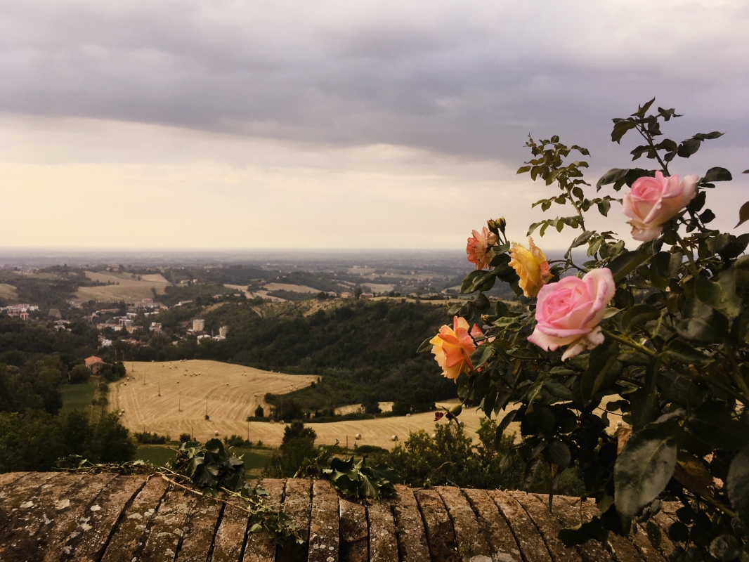 Il roseto sulle terrazze panoramiche - Castello di Tabiano