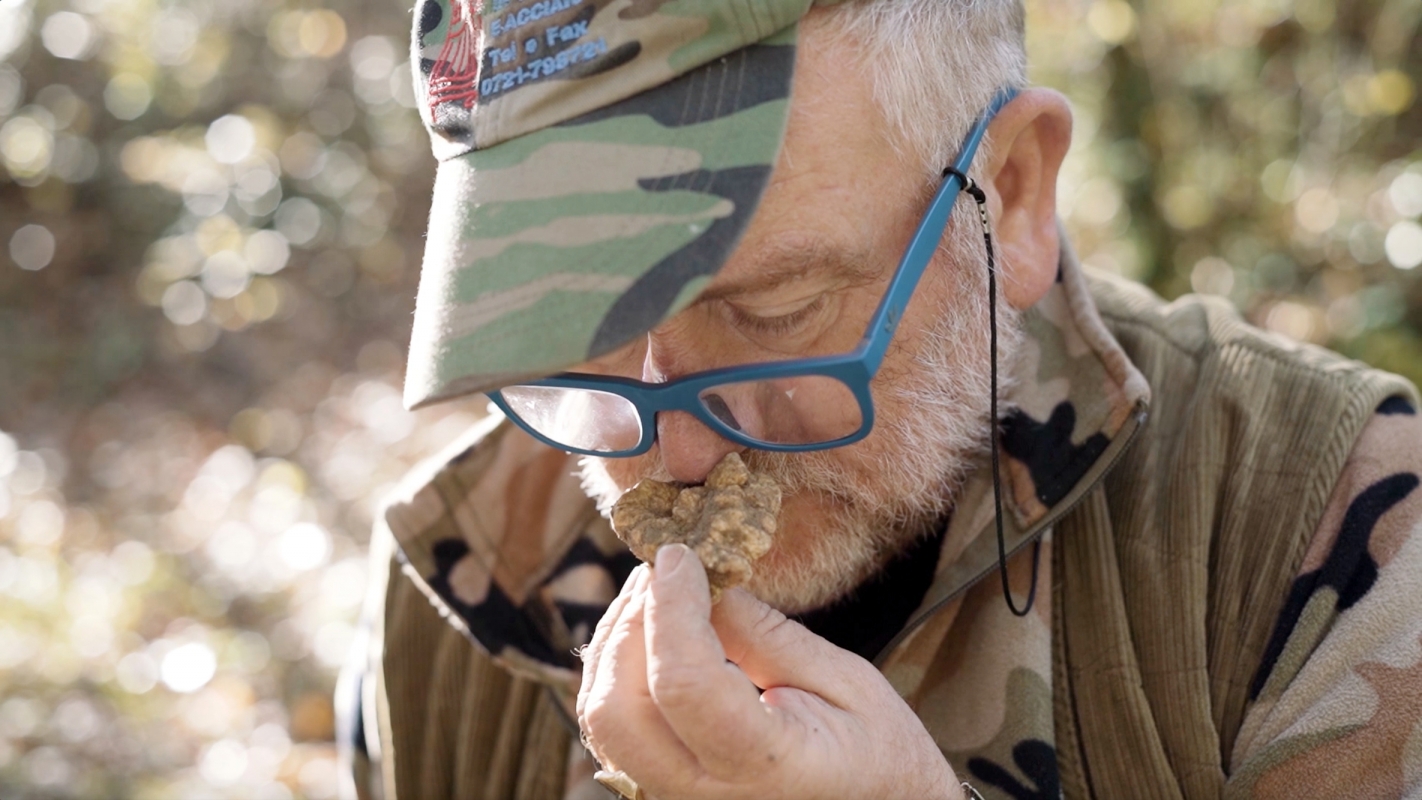 Acqualagna truffle - Regione Marche