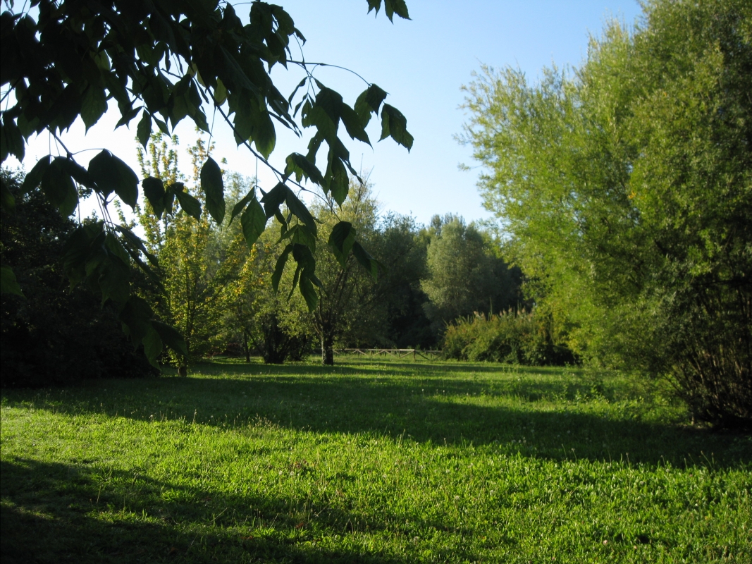 Parco del Loto, alberi - Sofiadiviola