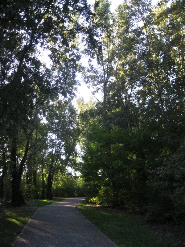 Parco del Loto, percorsi - Sofiadiviola