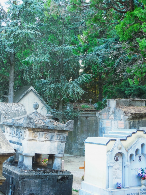 Cimitero Monumentale di Massa Lombarda 02 - Federica ricci