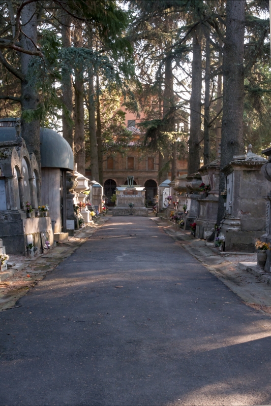 Cimitero dietro - Roberto Marconi 62