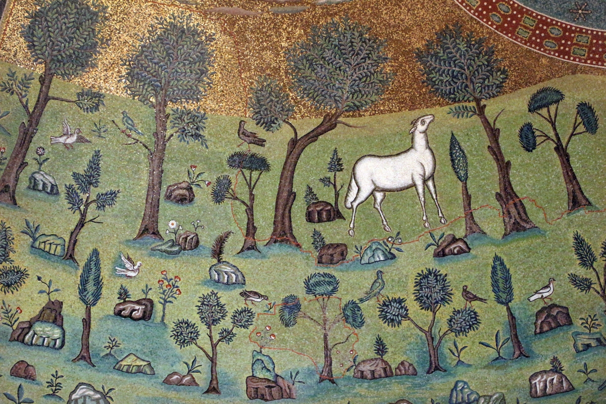 Sant'apollinare in classe, mosaici del catino, trasfigurazione simbolica, VI secolo, 07 agnello come apostolo - Sailko