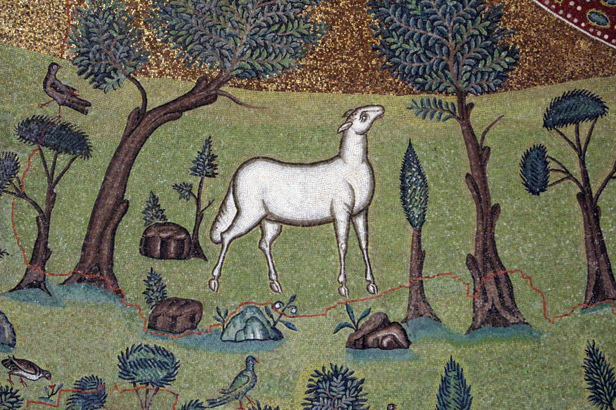 Sant'apollinare in classe, mosaici del catino, trasfigurazione simbolica, VI secolo, 08,2 agnello come apostolo - Sailko