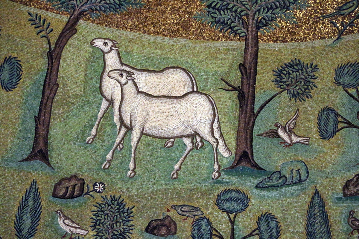 Sant'apollinare in classe, mosaici del catino, trasfigurazione simbolica, VI secolo, 12 agnelli come apostoli - Sailko