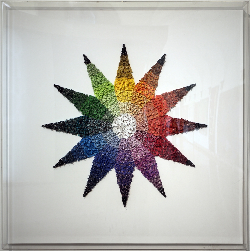 Michael gambino, stella cromatica (farfalle in carta appuntate con spilli), 2013 - Sailko