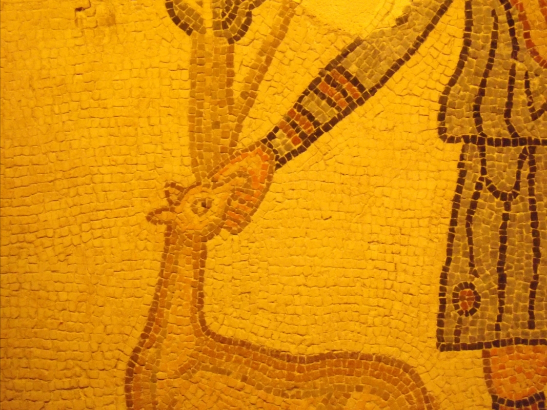 Mosaico del pastore, particolare della cerva - Cristina Cumbo