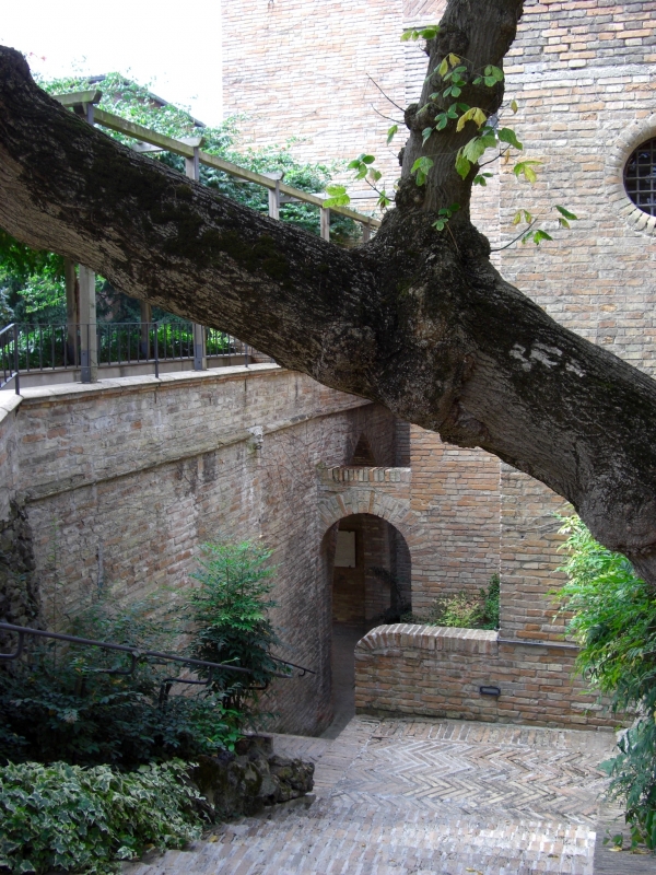 Giardini pensili Palazzo della Provincia 3 - Clawsb