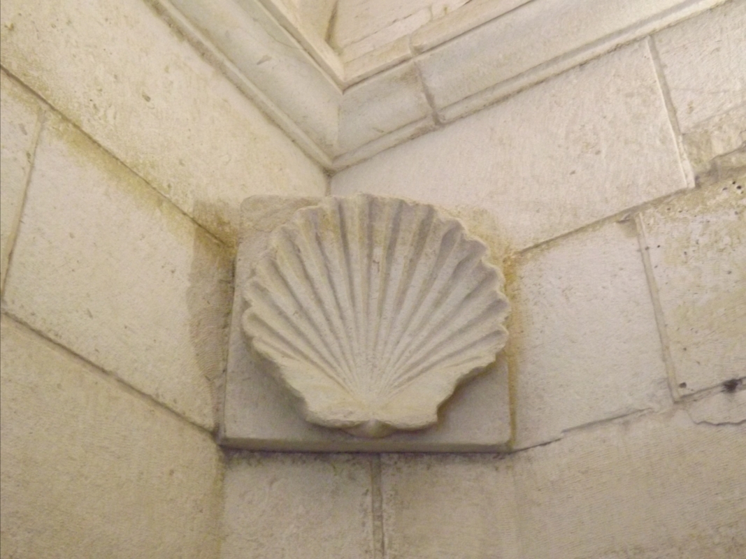 Particolare della conchiglia, interno del Mausoleo - Cristina Cumbo
