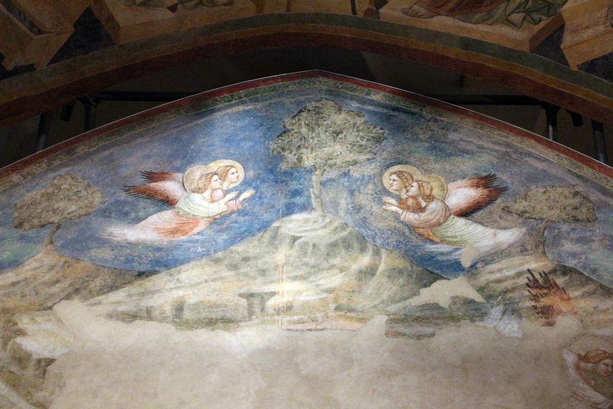 Pietro da rimini e bottega, affreschi dalla chiesa di s. chiara a ravenna, 1310-20 ca., natività e annuncio ai pastori 04 - Sailko