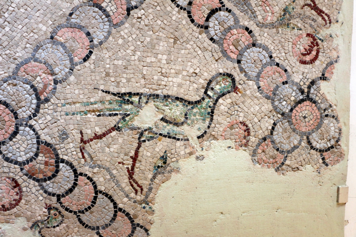 Mosaici pavimentali da san severo a classe, 590 dc ca. 07 - Sailko