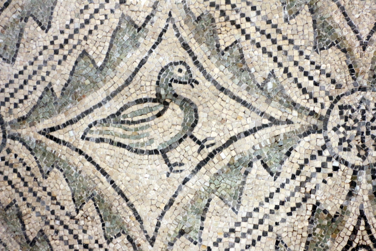 Mosaici pavimentali da san severo a classe, 590 dc ca. 09 uccello - Sailko