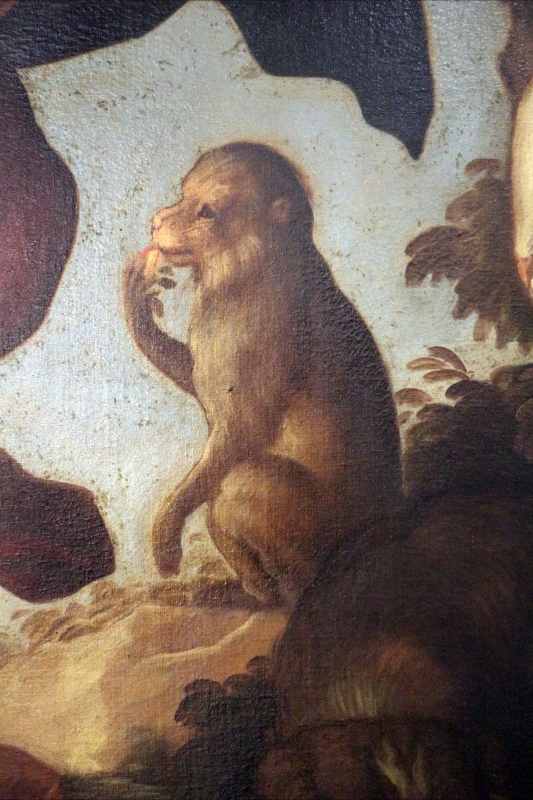 Pittore veneto, creazione dell'uomo, xvii secolo 02 scimmia - Sailko